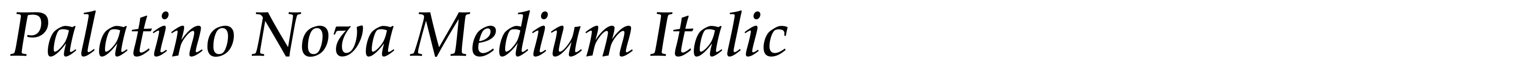 Palatino Nova Medium Italic